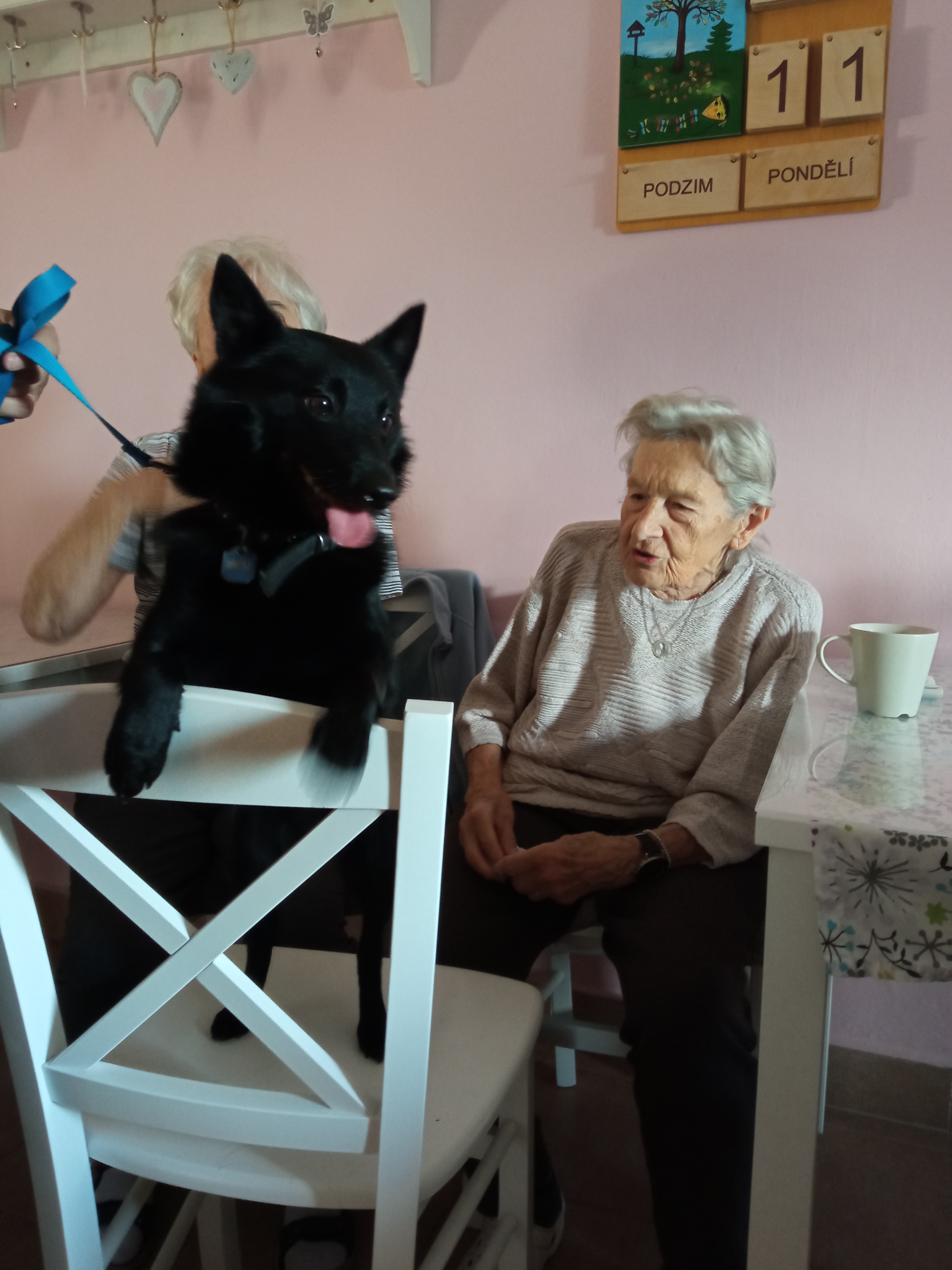 alzheimercentrum