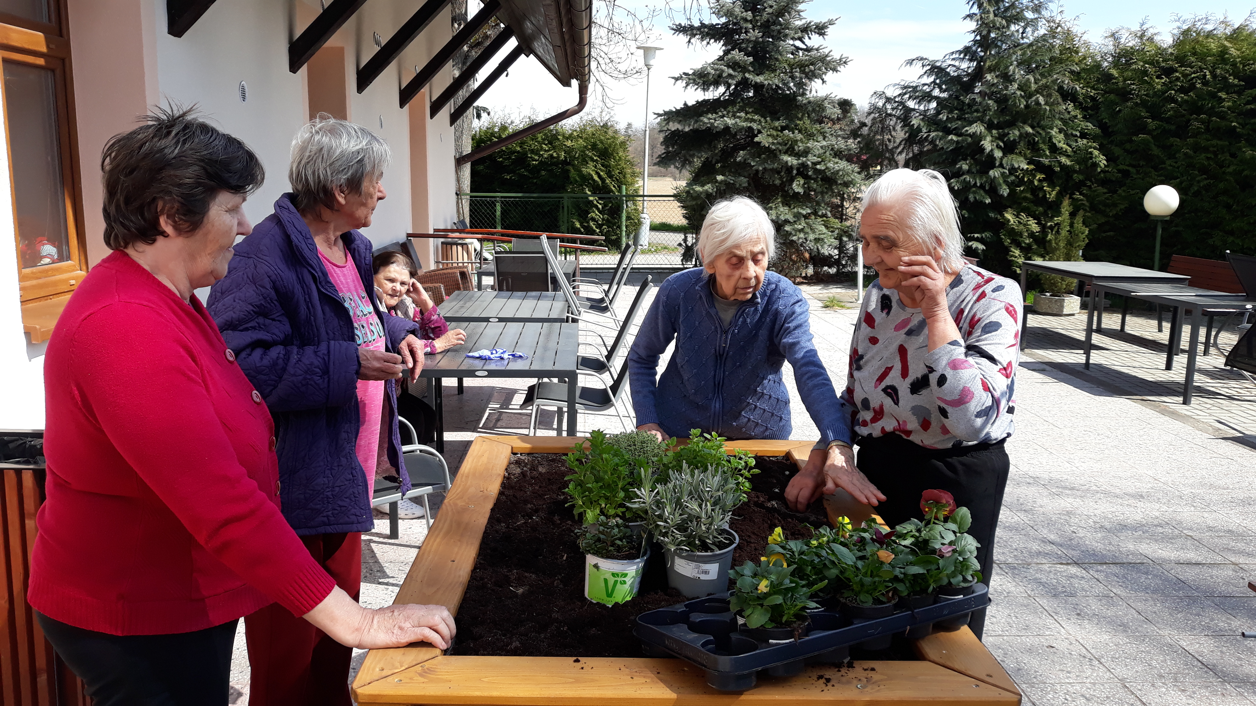 alzheimercentrum