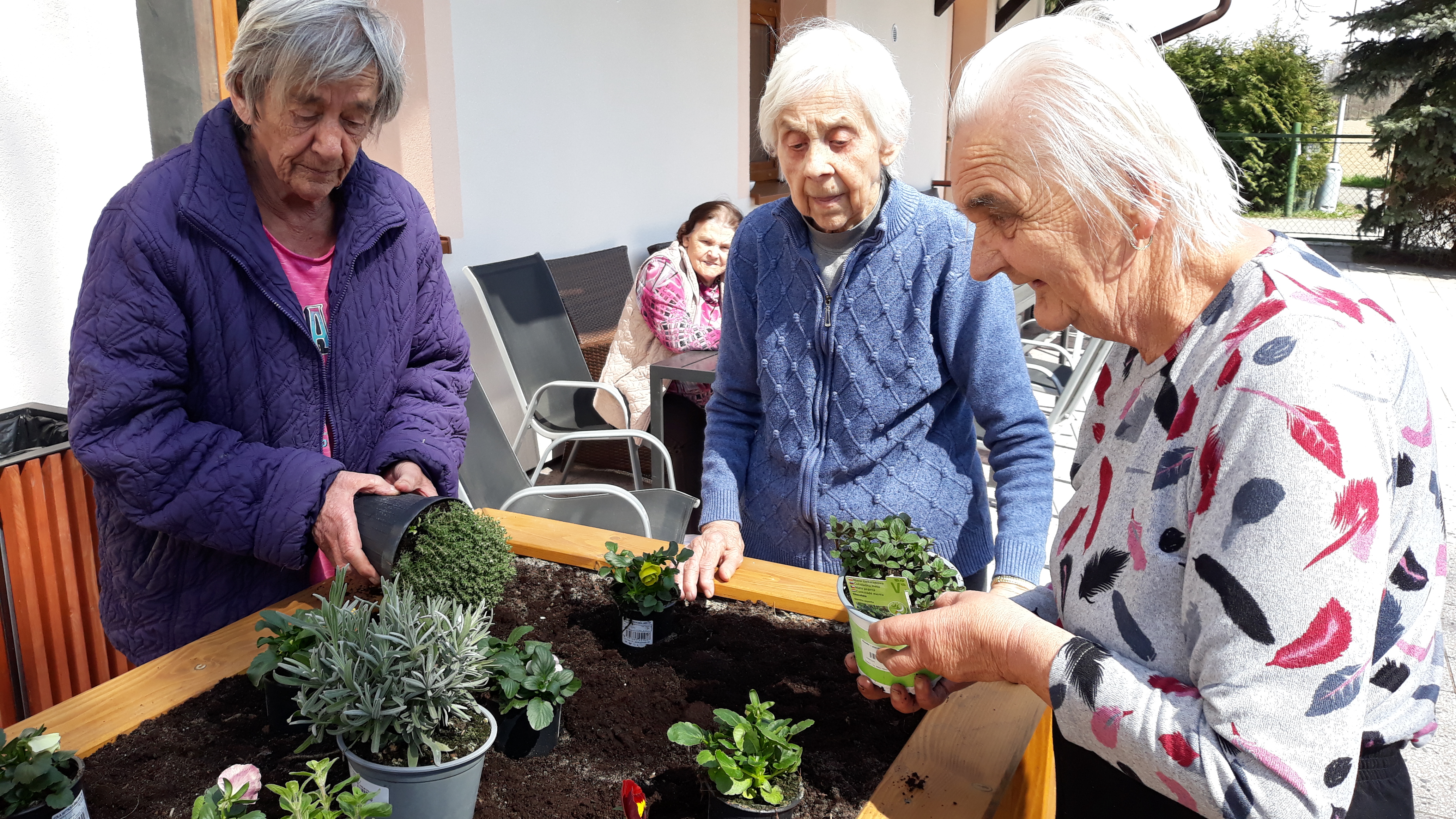 alzheimercentrum