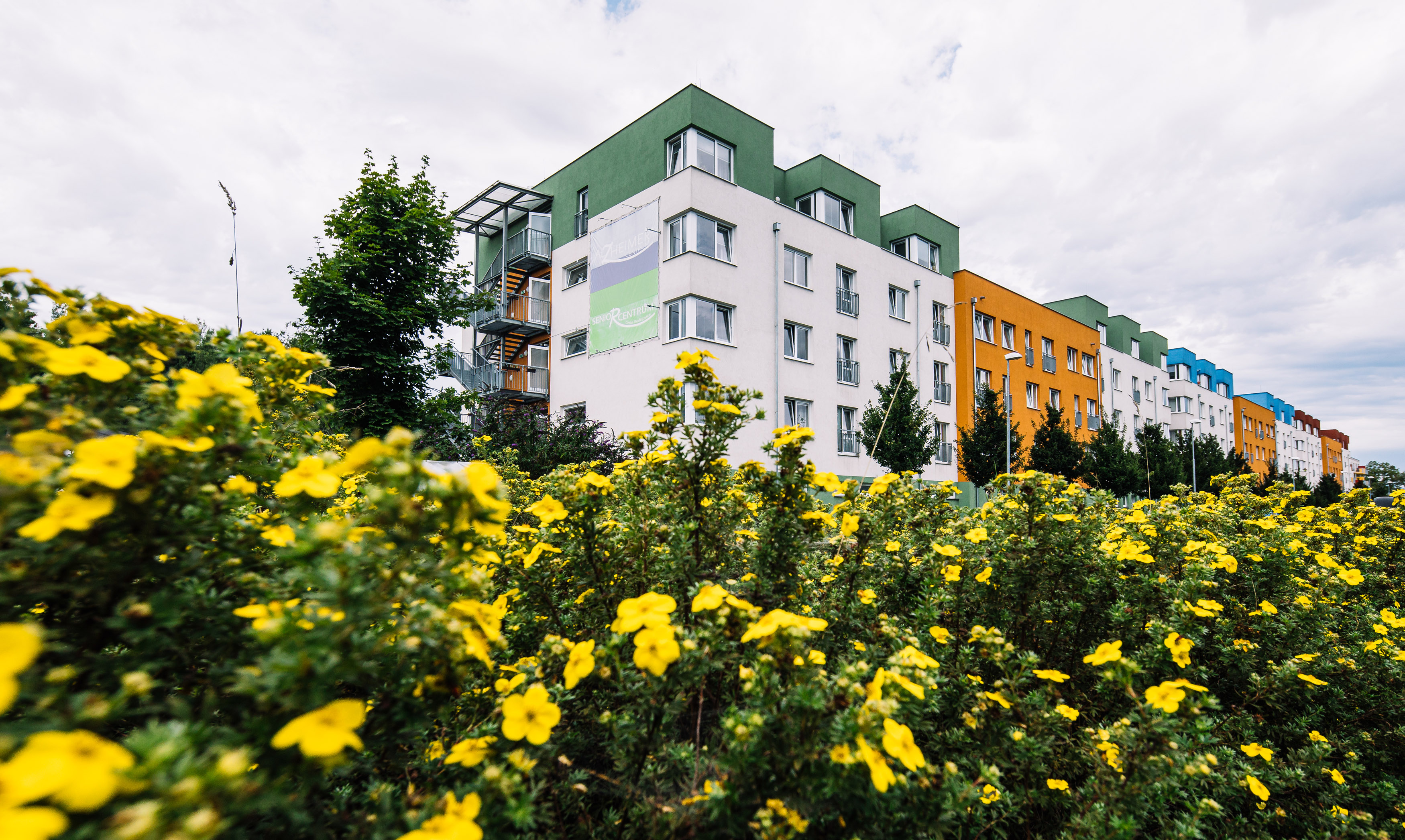 alzheimercentrum