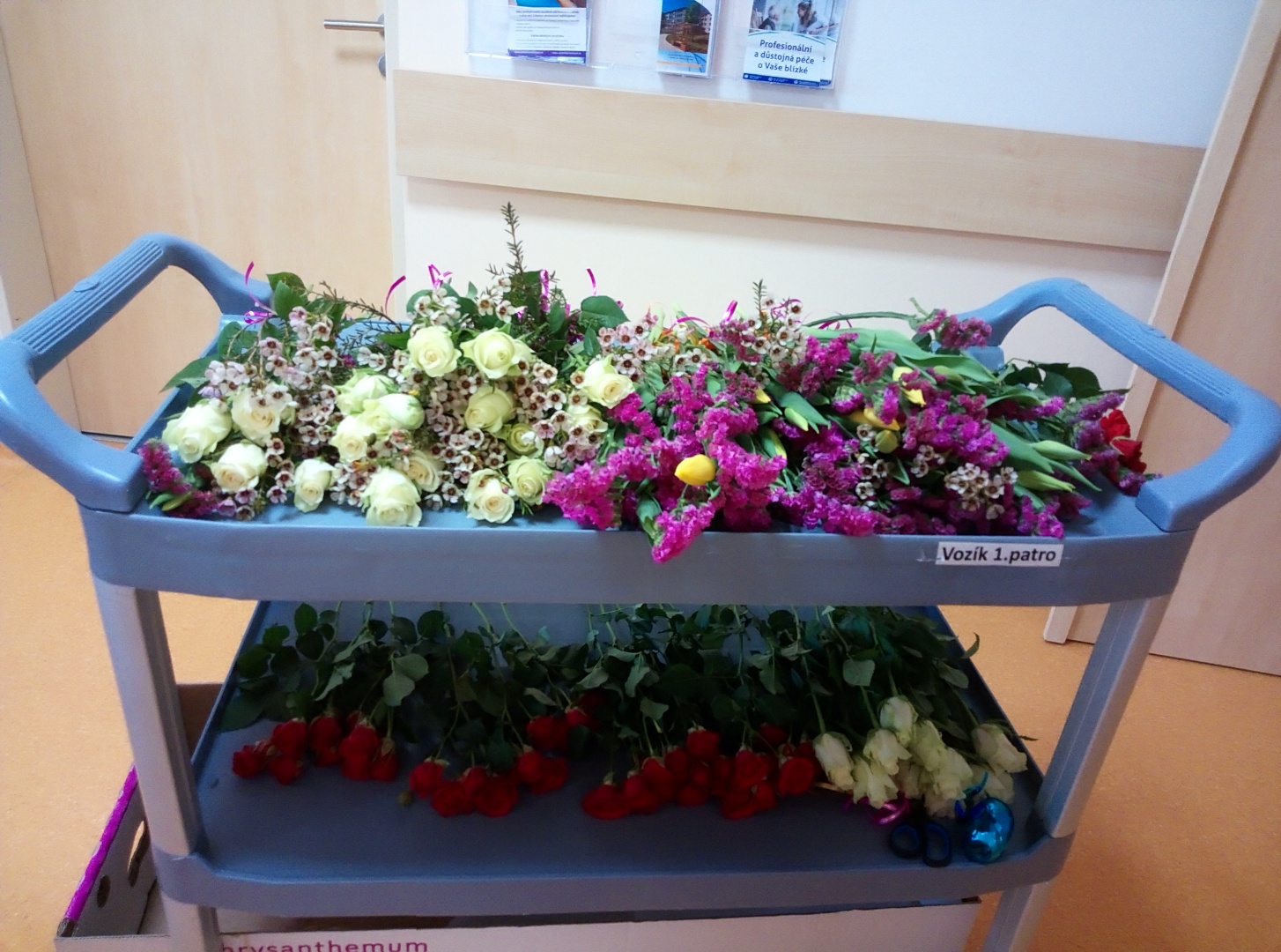 alzheimercentrum