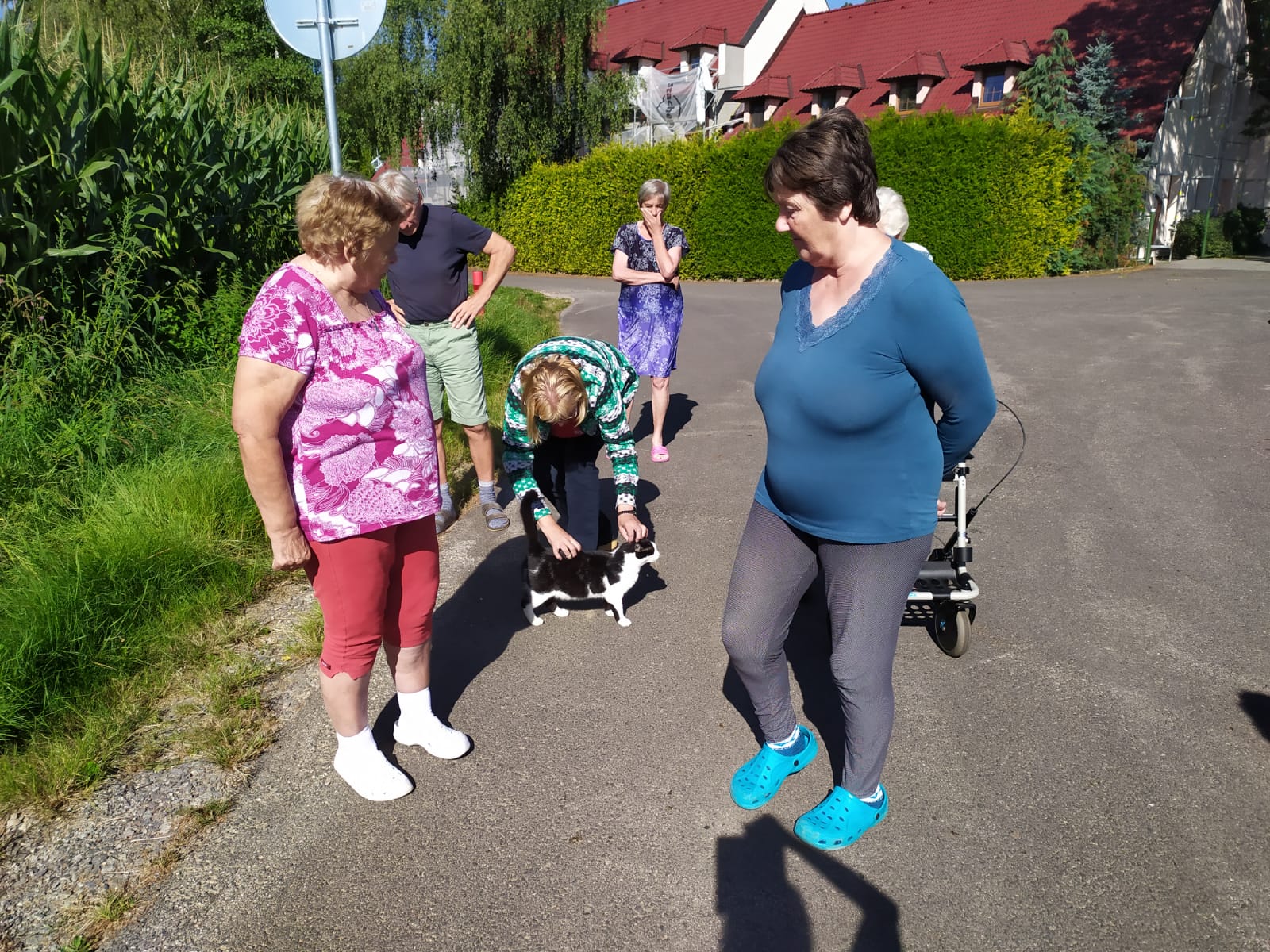 alzheimercentrum
