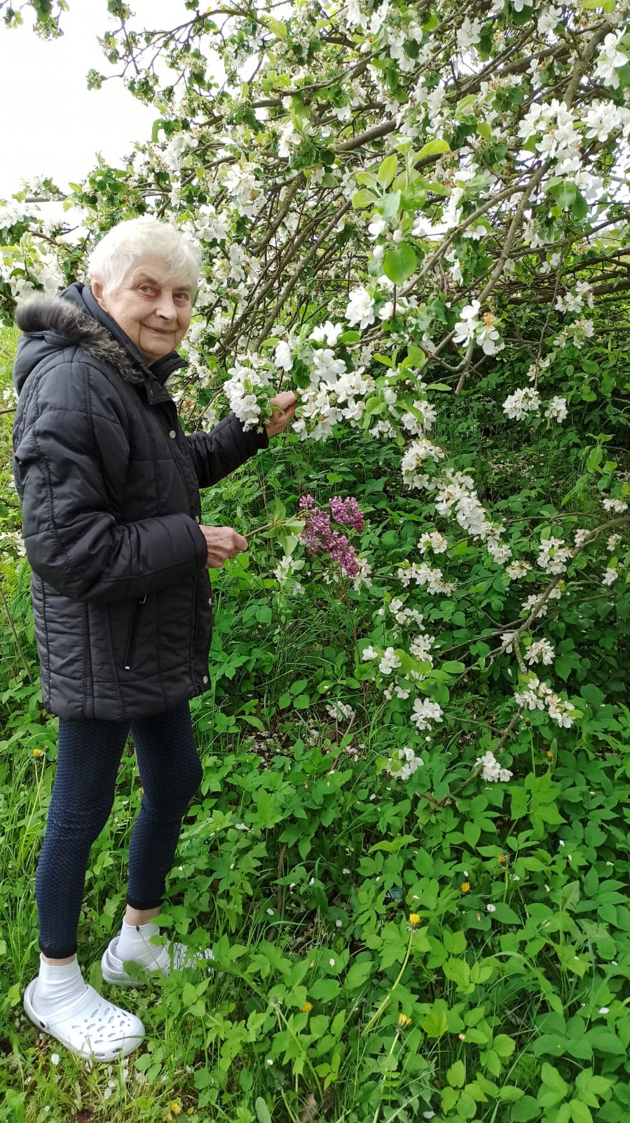 alzheimercentrum