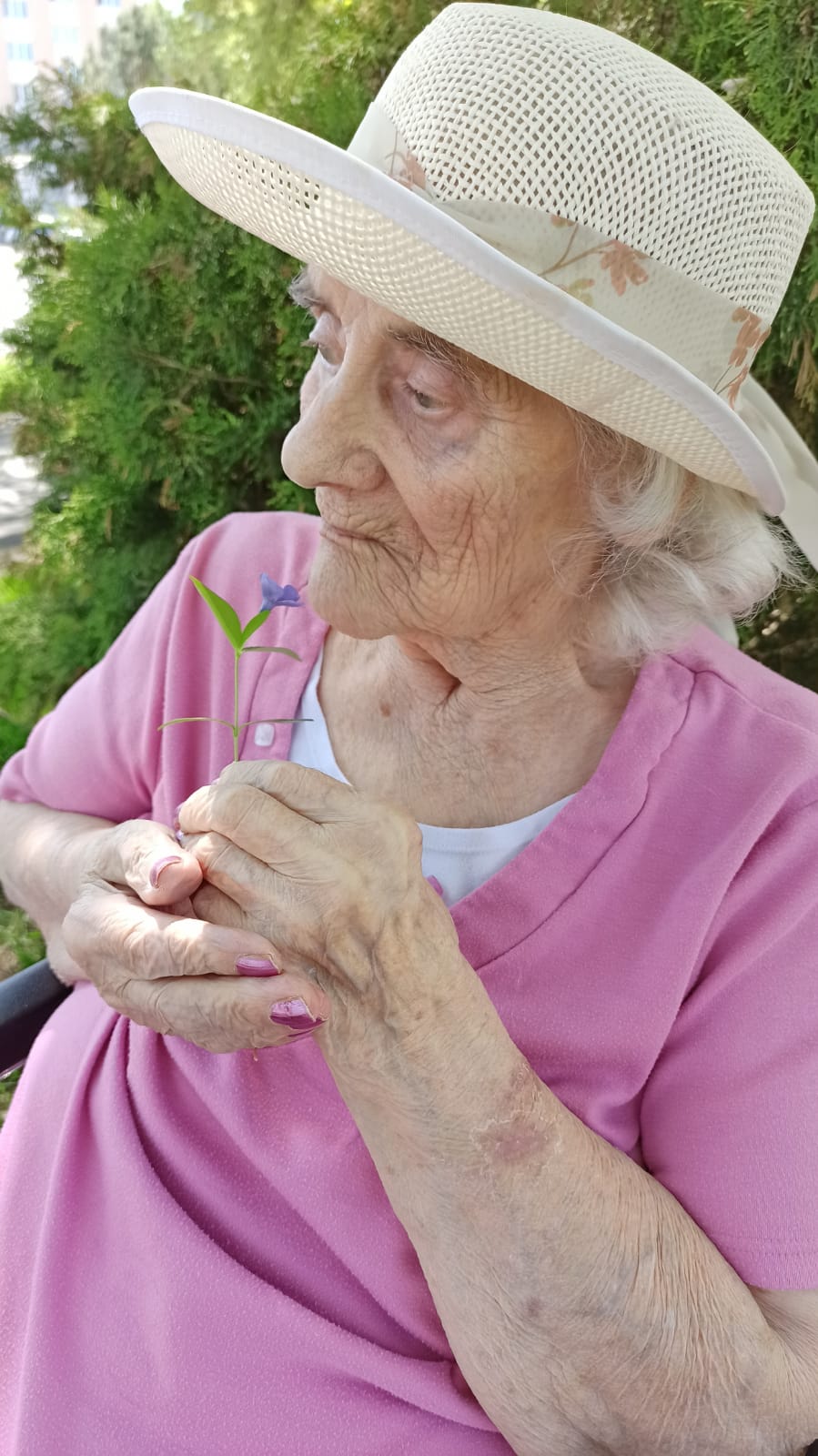 alzheimercentrum
