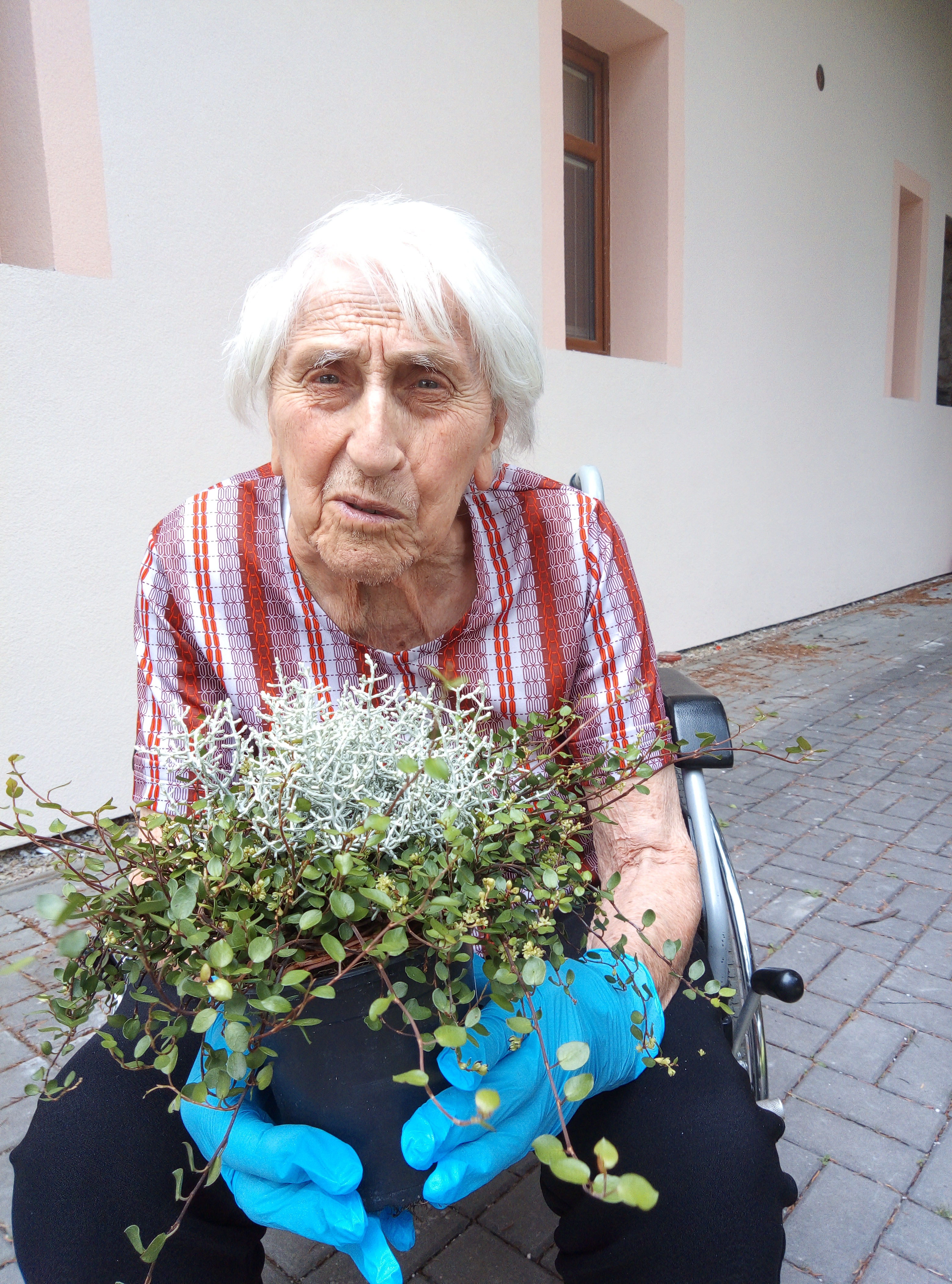 alzheimercentrum