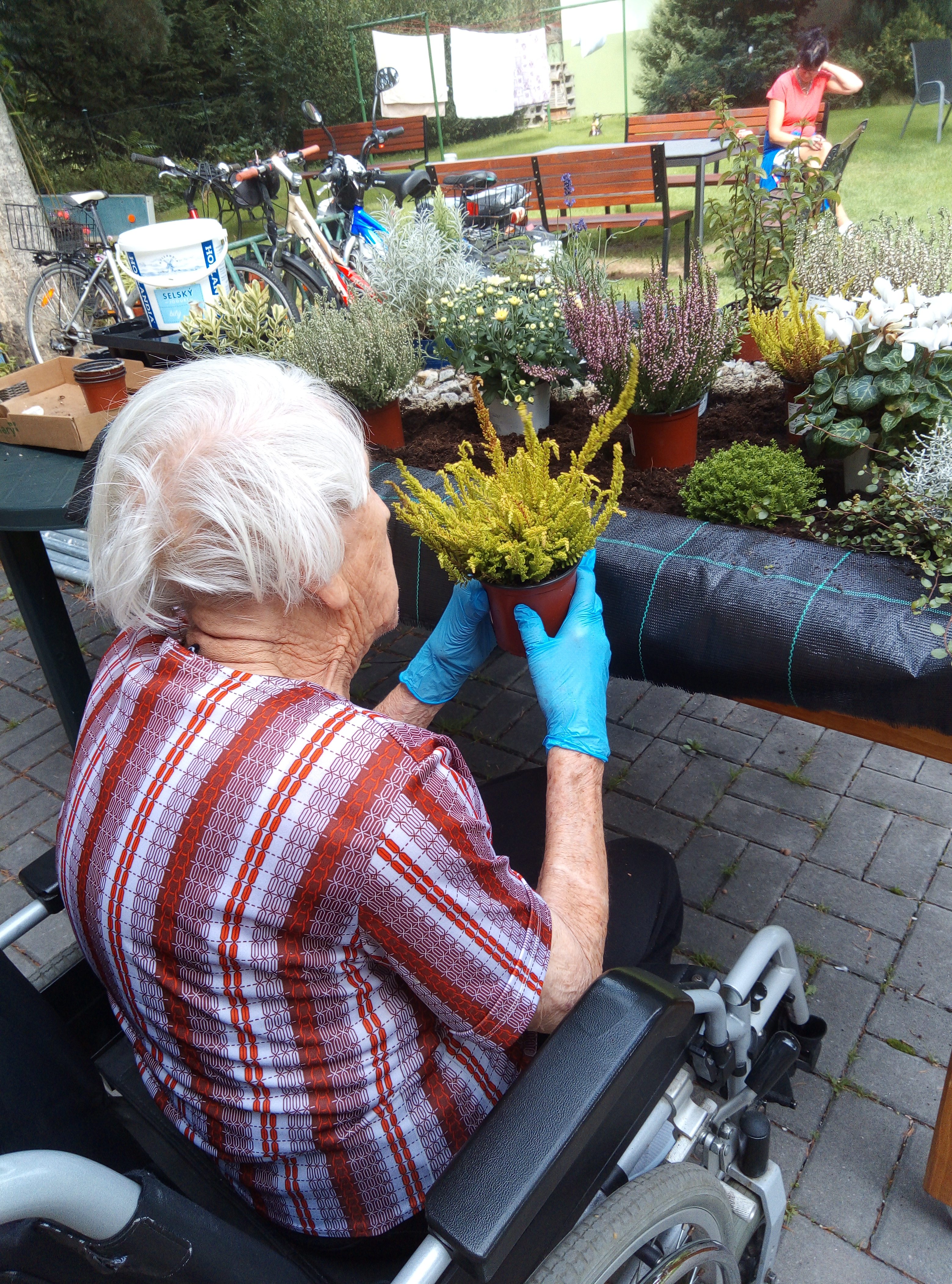 alzheimercentrum