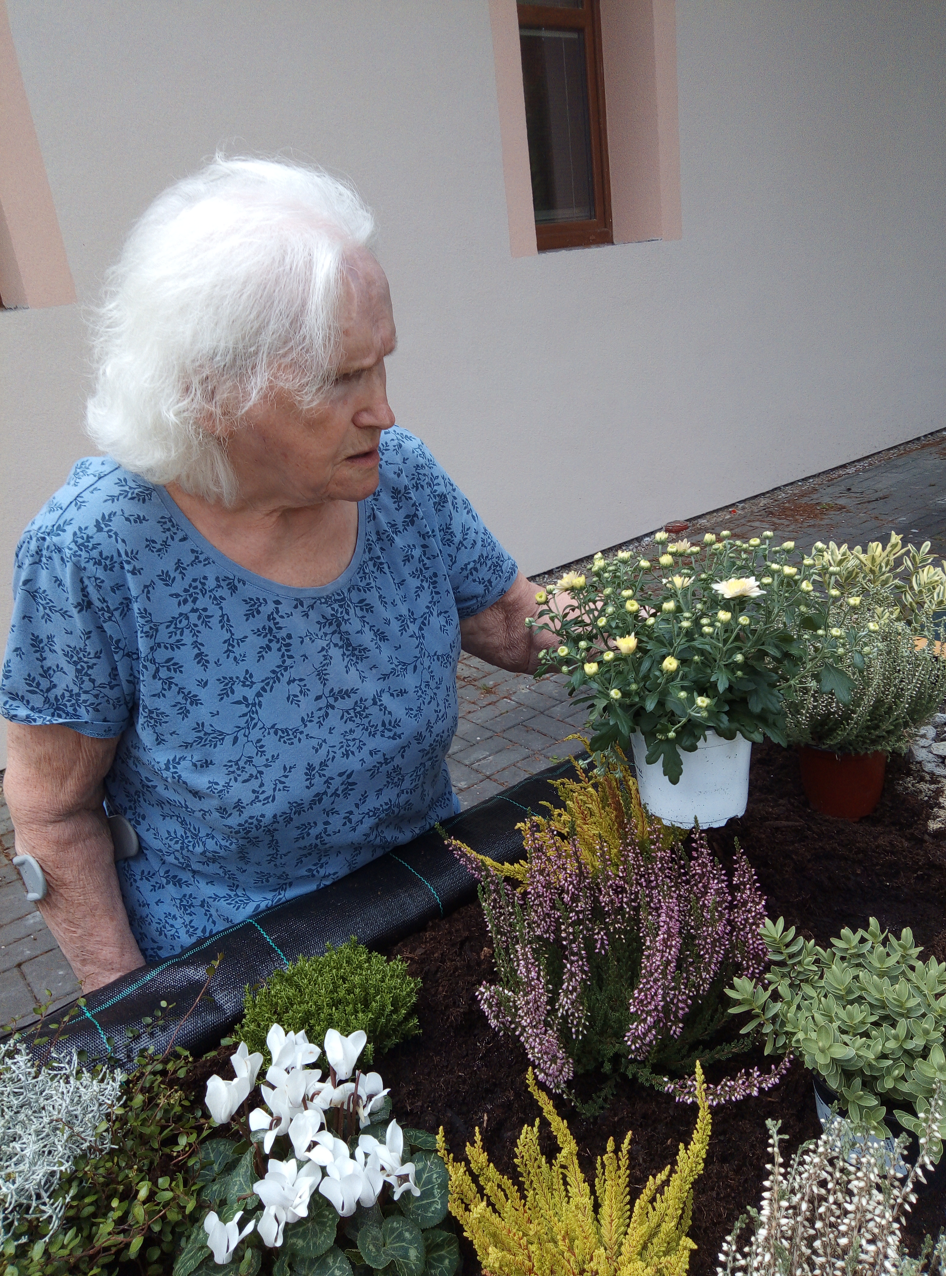 alzheimercentrum