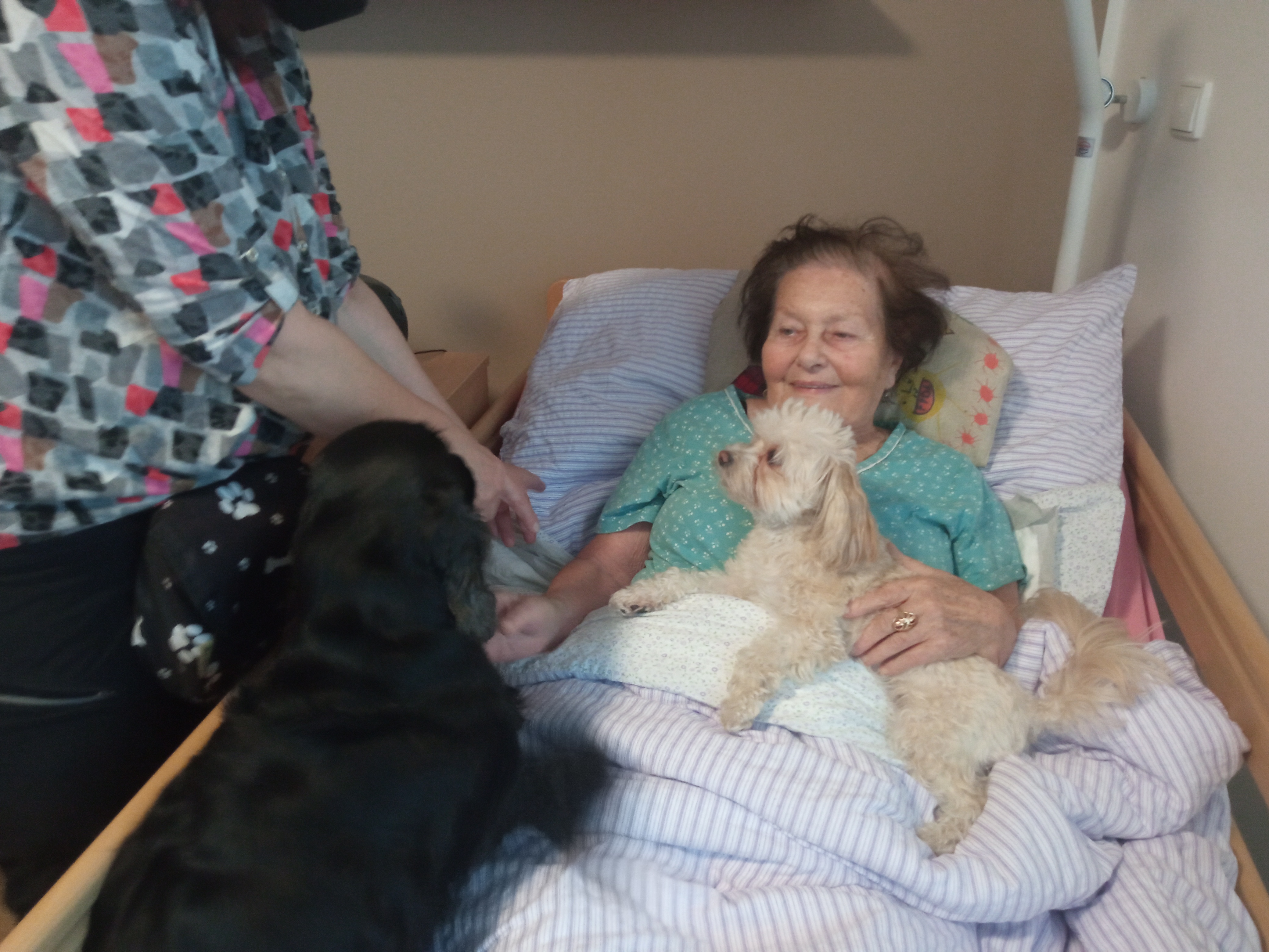 alzheimercentrum