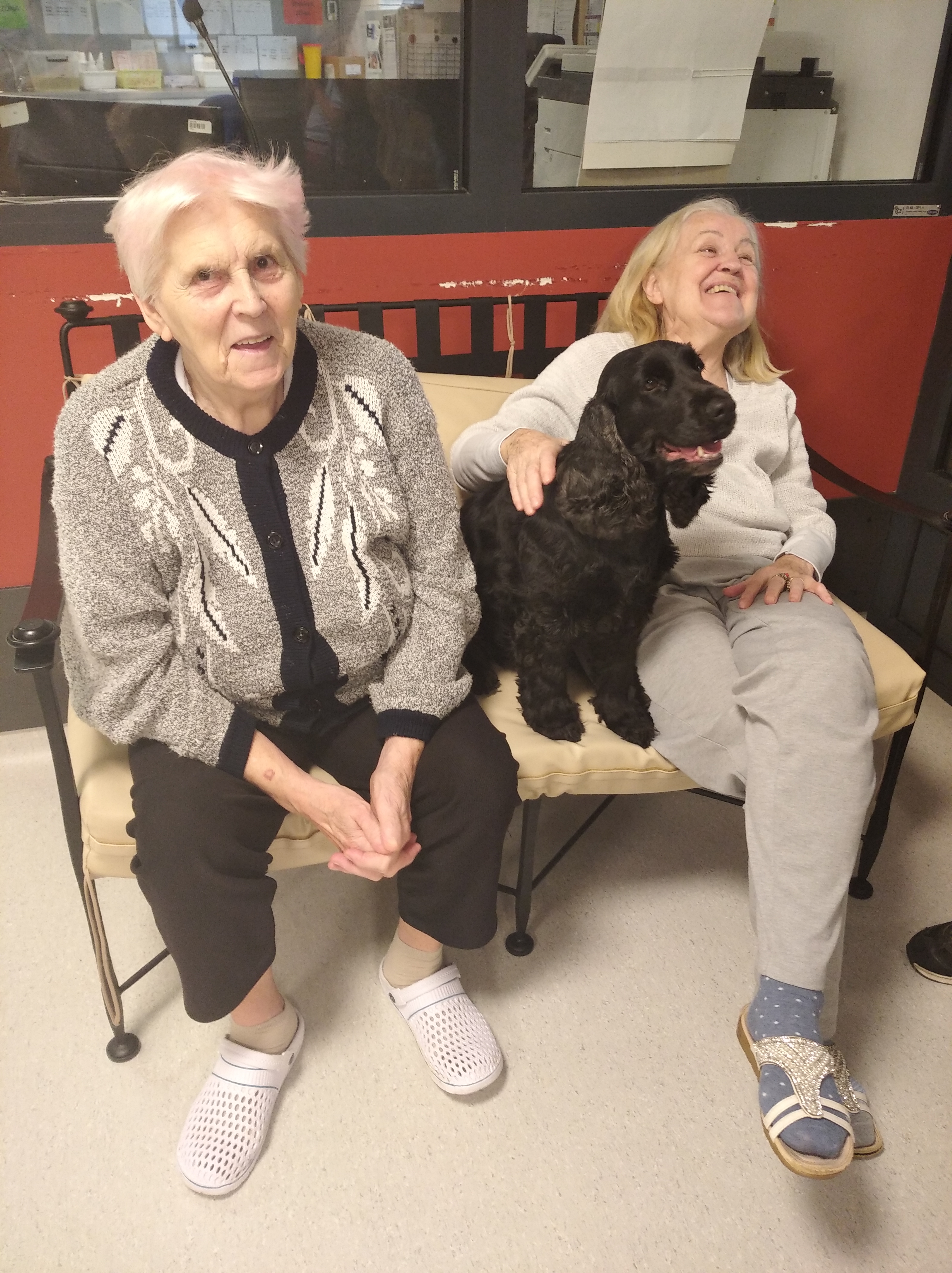 alzheimercentrum