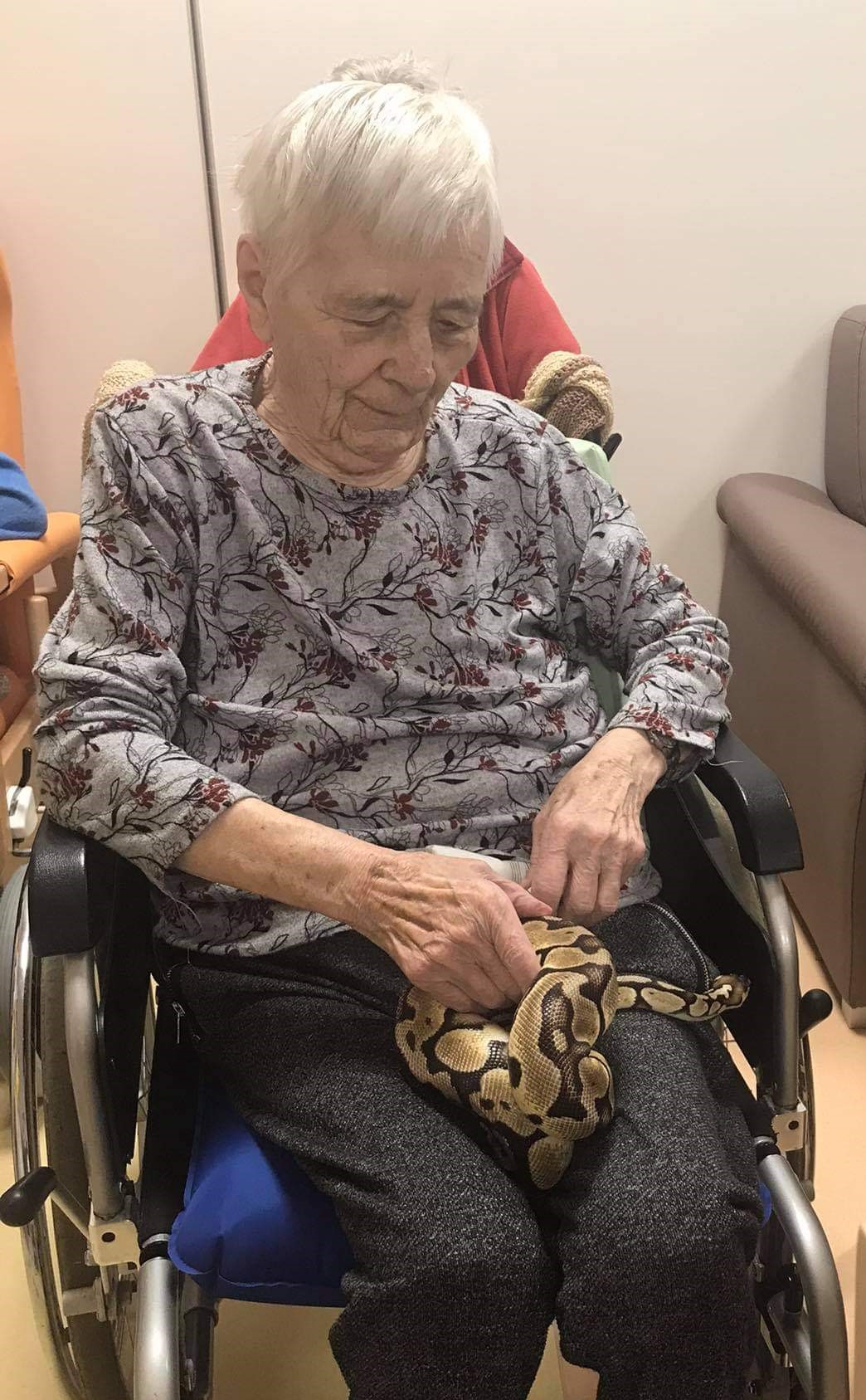 alzheimercentrum