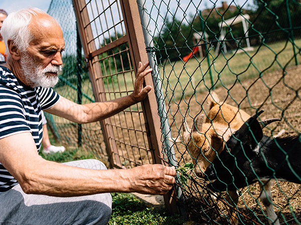 alzheimercentrum zlosyn