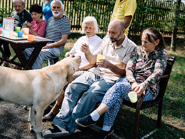 alzheimercentrum zlosyn